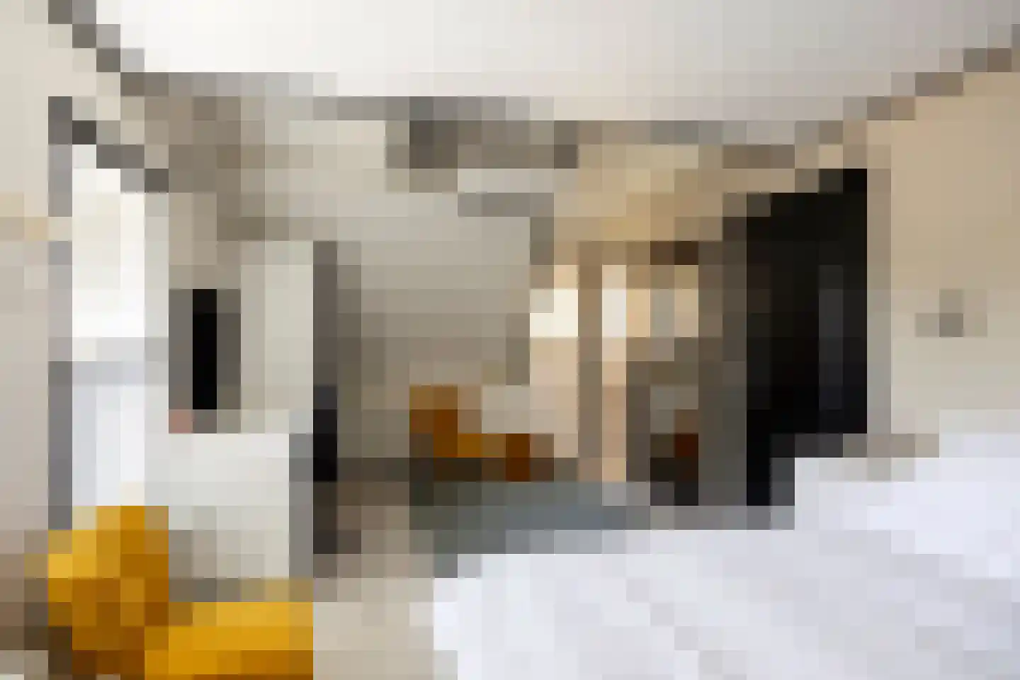 Oosteinde 117 Scherpenzeel thumbnail 26