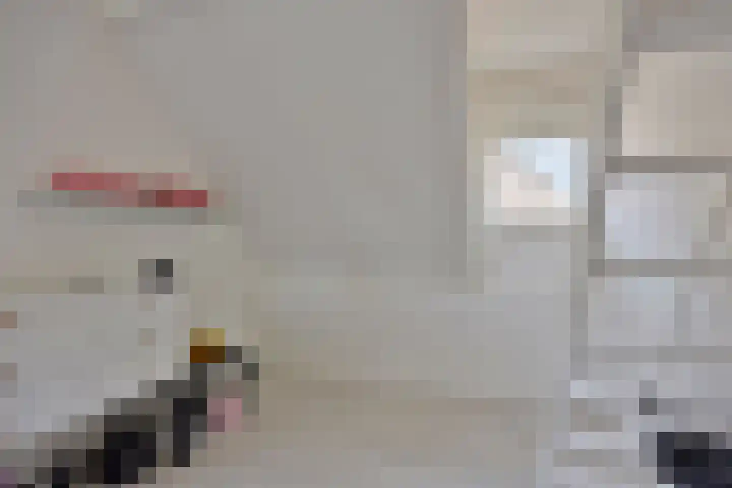 Oosteinde 117 Scherpenzeel thumbnail 32