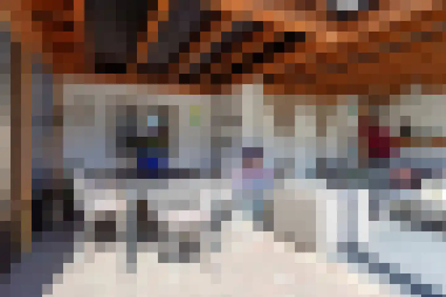 Oosteinde 117 Scherpenzeel thumbnail 39
