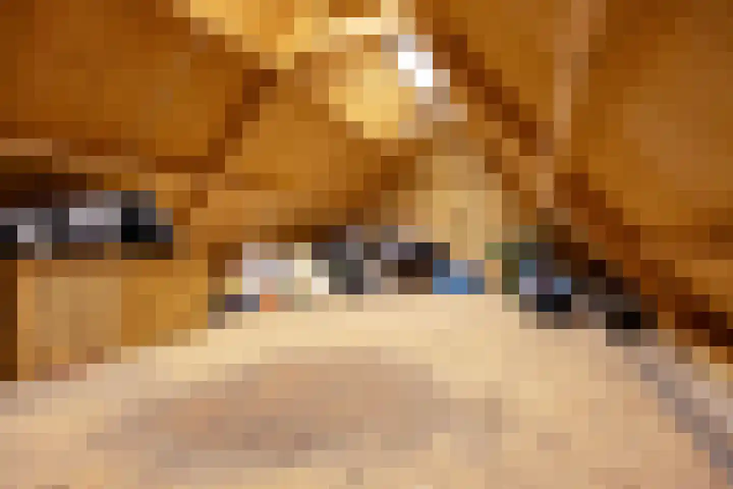 Oosteinde 117 Scherpenzeel thumbnail 47