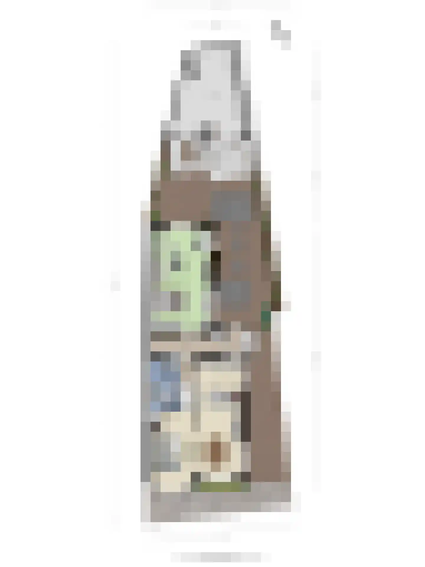 Oosteinde 117 Scherpenzeel thumbnail 56
