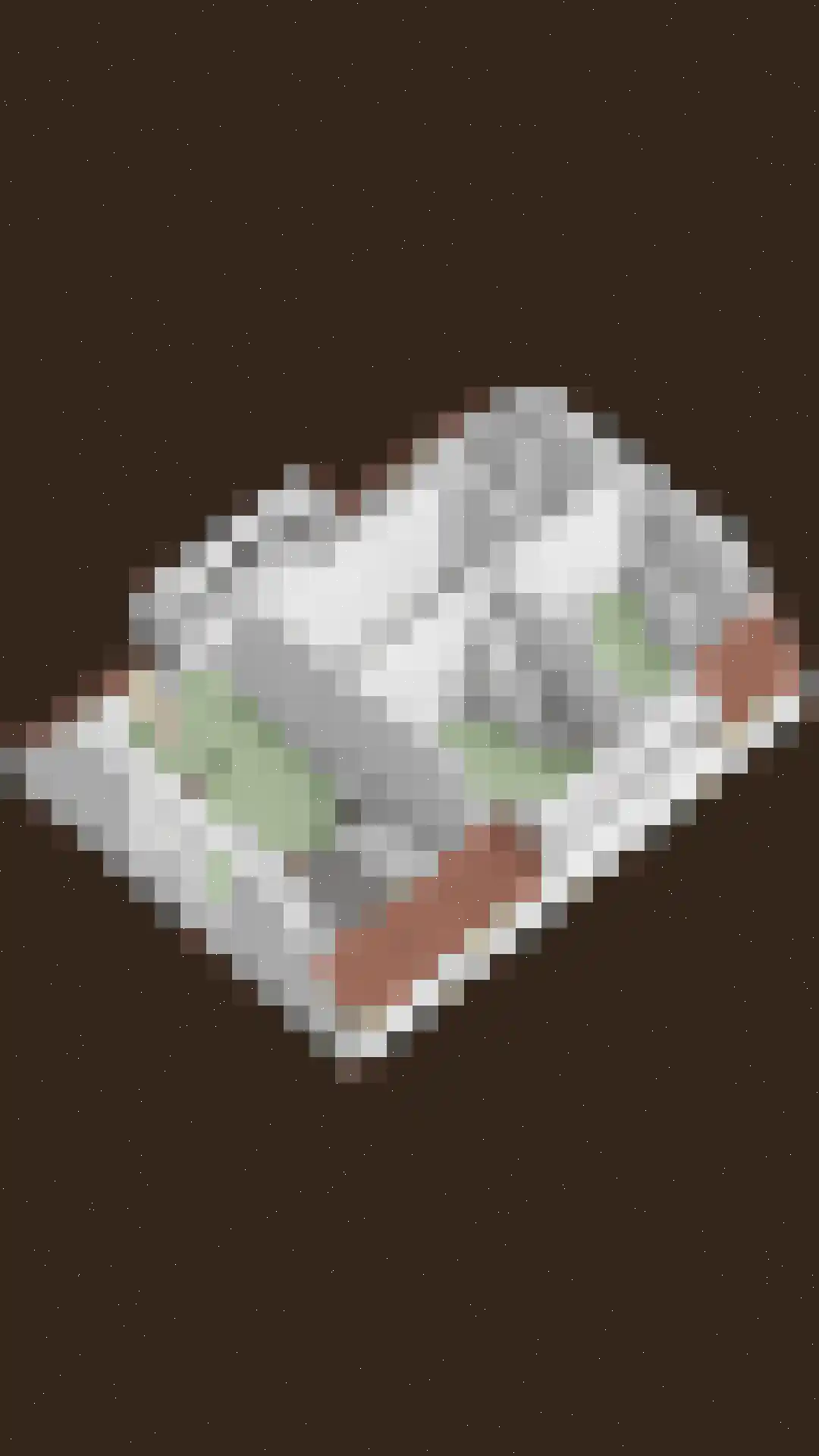 Oosteinde 117 Scherpenzeel thumbnail 60
