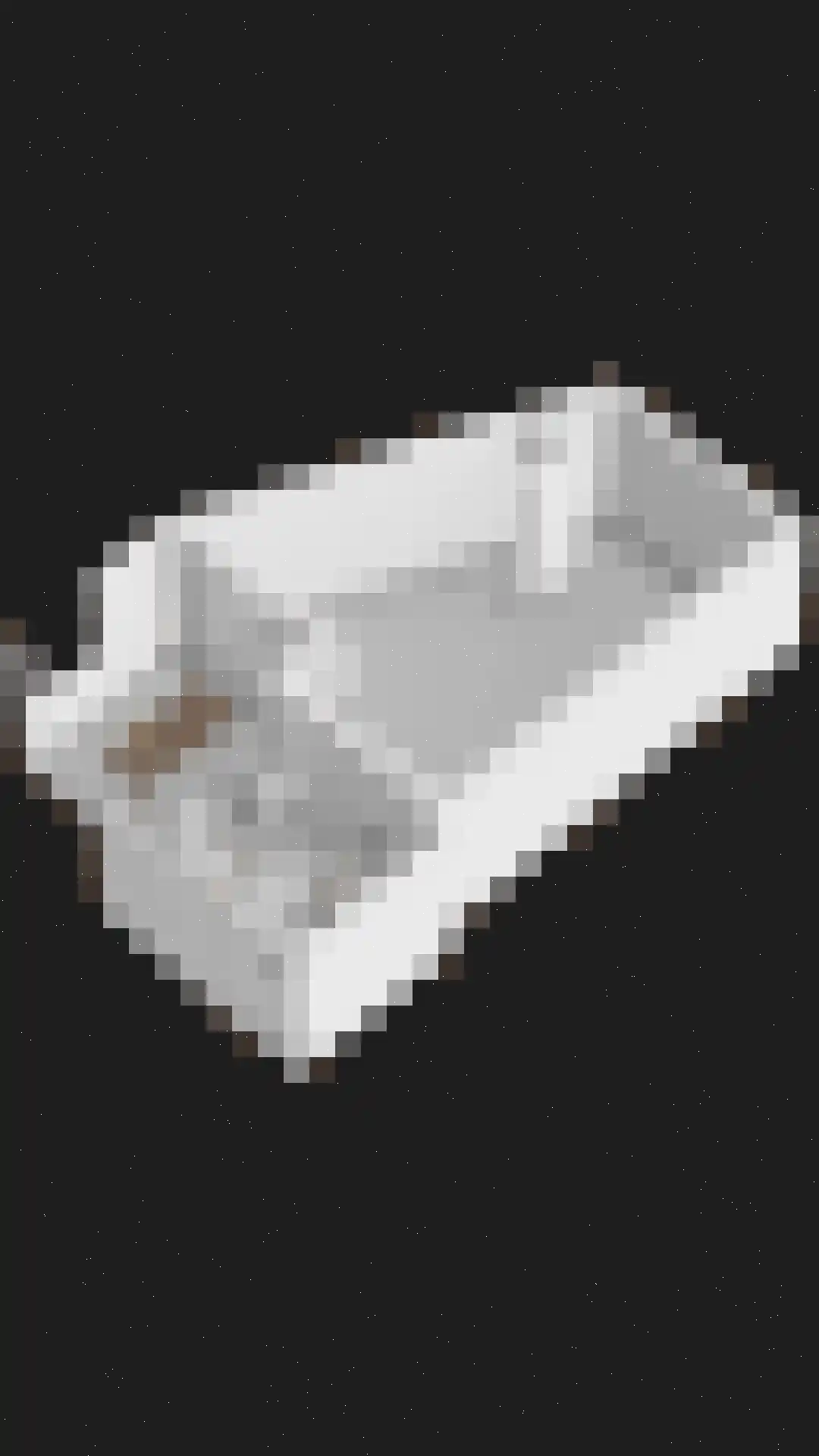 Oosteinde 117 Scherpenzeel thumbnail 63