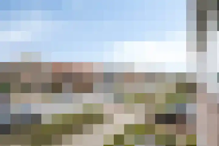 Oosteinde 13 Scherpenzeel thumbnail 28