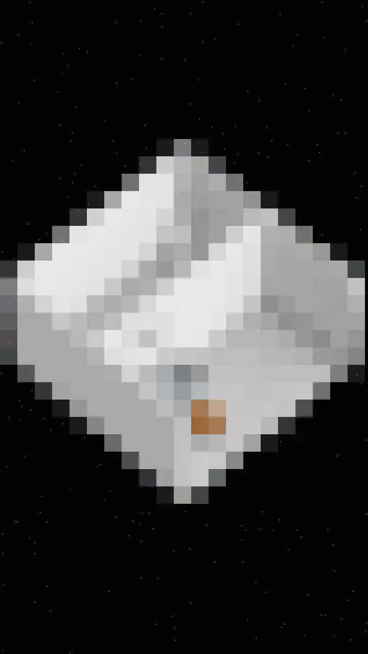 Oosteinde 13 Scherpenzeel thumbnail 40