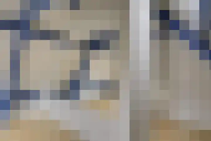 Oosteinde 136 Delft thumbnail 15
