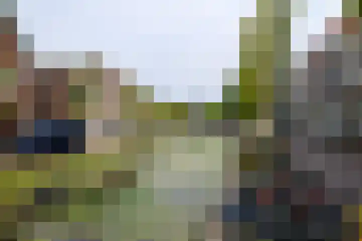 Oosteinde 136 Delft thumbnail 25