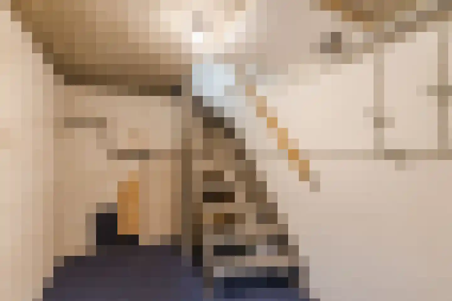 Oosteinde 139 a Scherpenzeel thumbnail 18