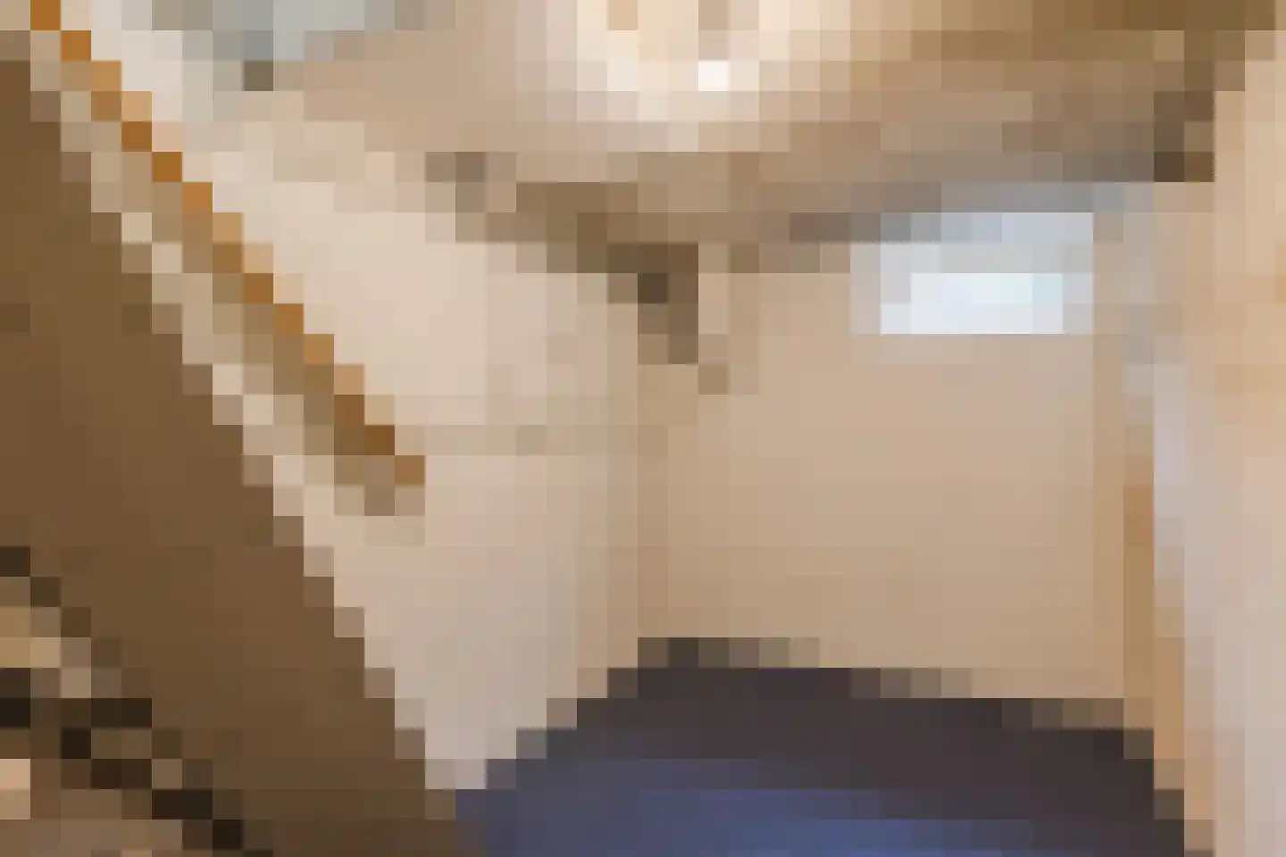 Oosteinde 139 a Scherpenzeel thumbnail 19