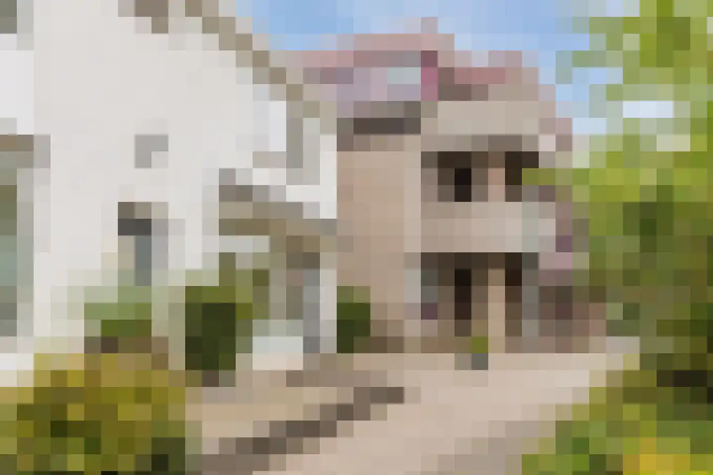 Oosteinde 139 Scherpenzeel thumbnail 29