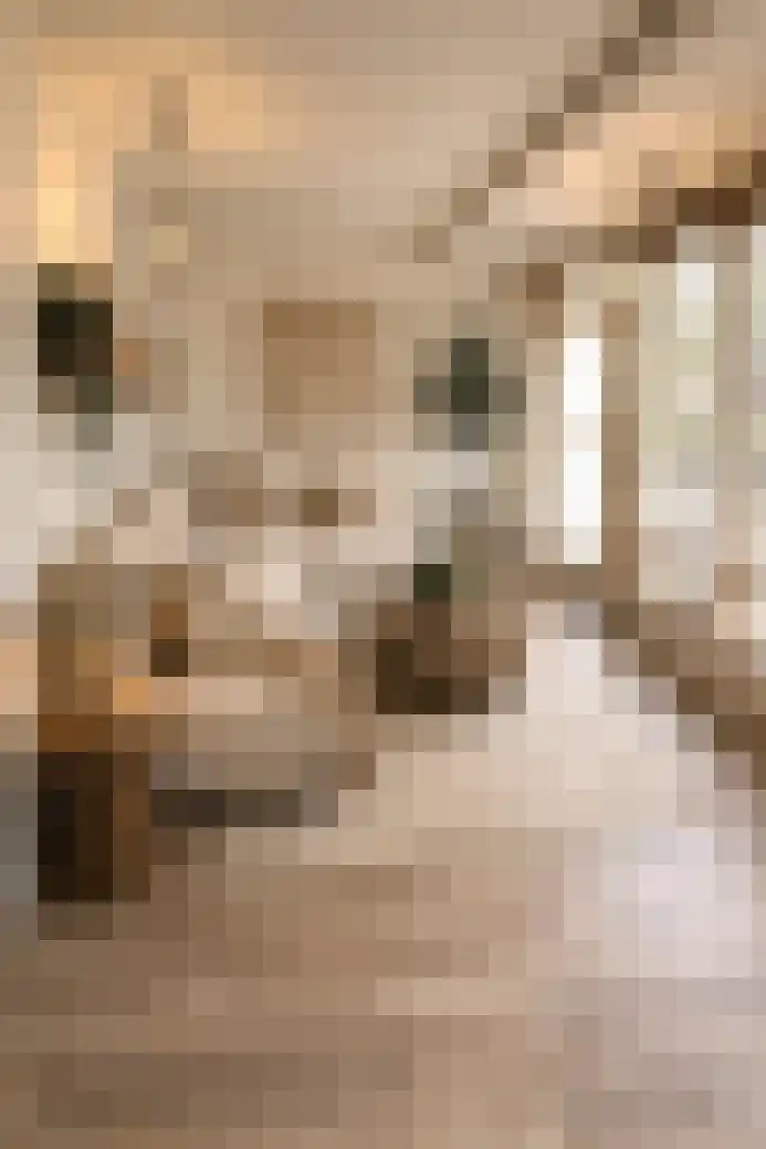 Oosteinde 139 Scherpenzeel thumbnail 7