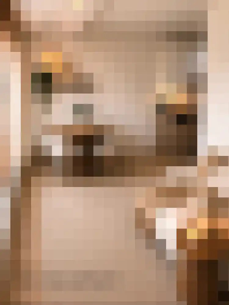 Oosteinde 139 Scherpenzeel thumbnail 8