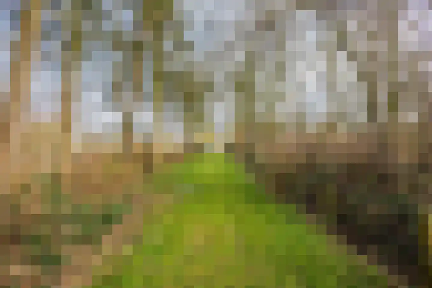 Oosteinde 14 Hijken thumbnail 100