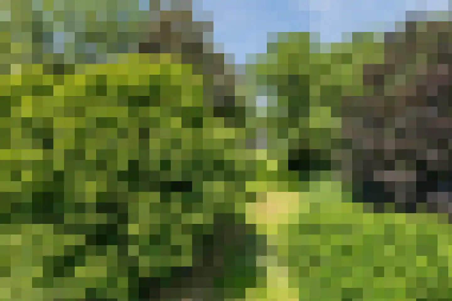 Oosteinde 14 Hijken thumbnail 101