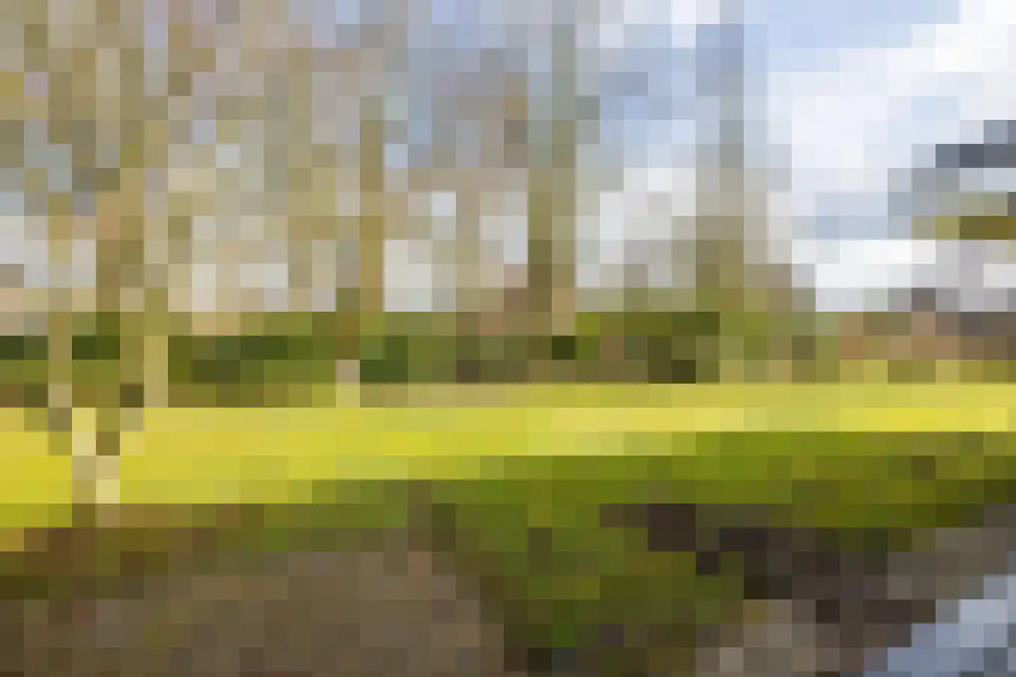 Oosteinde 14 Hijken thumbnail 13