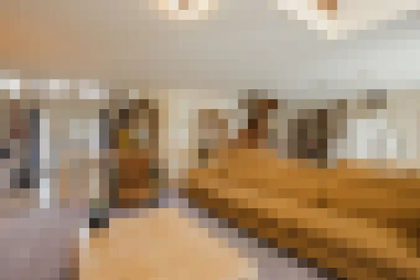 Oosteinde 14 Hijken thumbnail 17