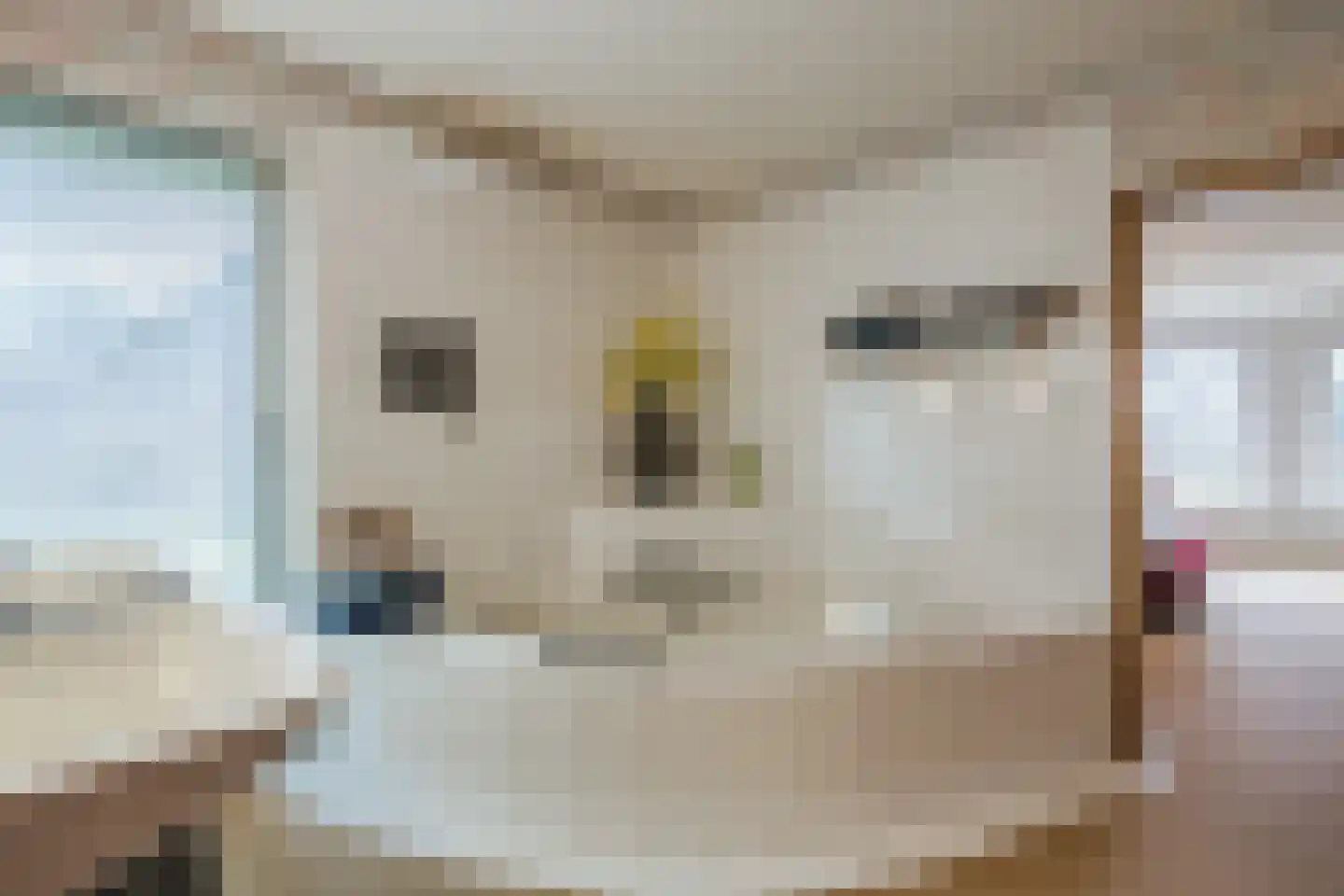 Oosteinde 14 Hijken thumbnail 46