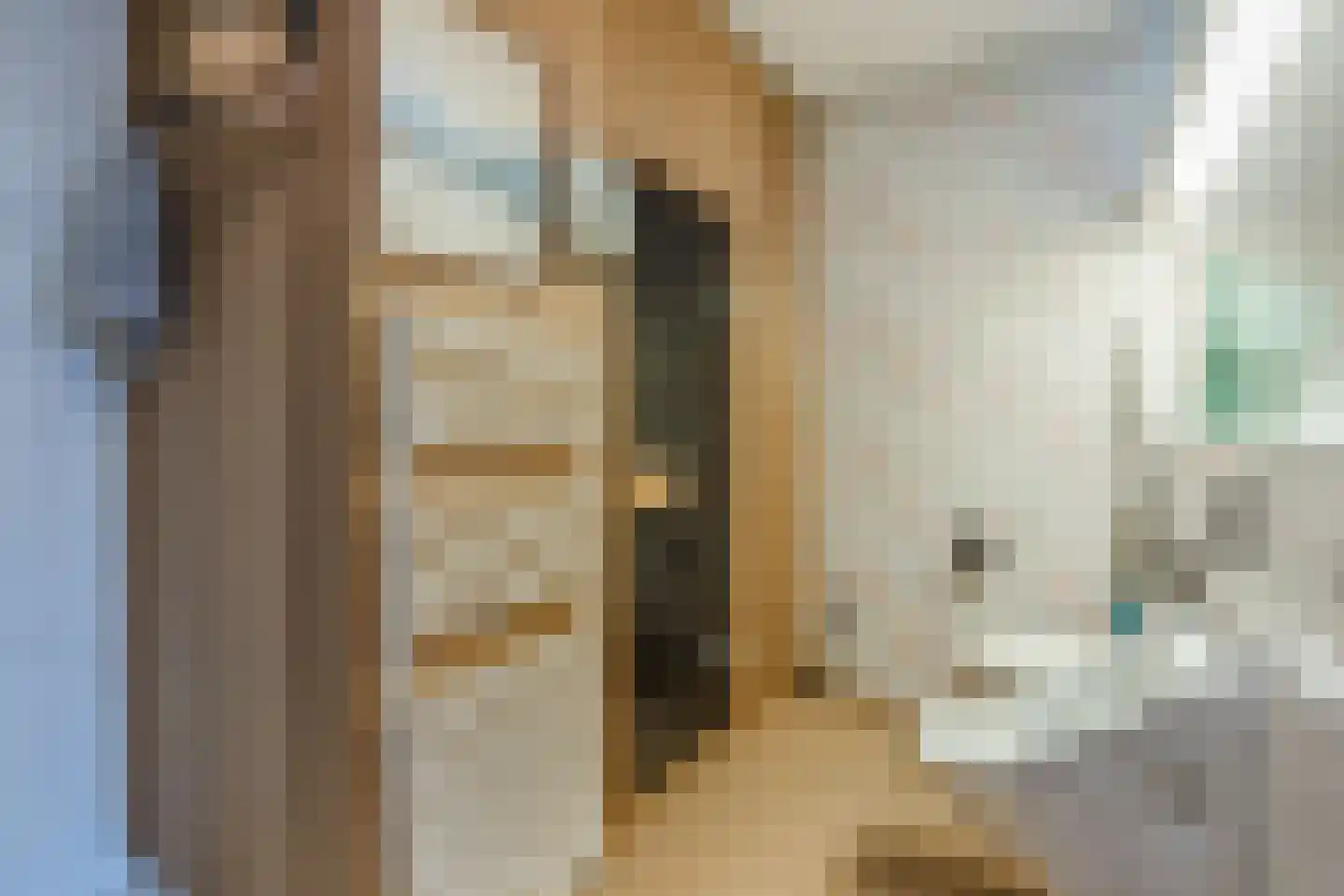 Oosteinde 14 Hijken thumbnail 48