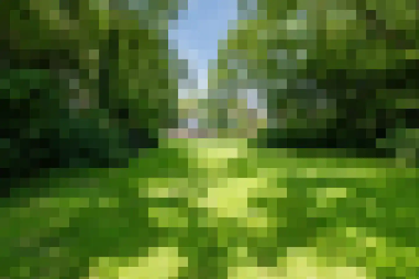 Oosteinde 14 Hijken thumbnail 5