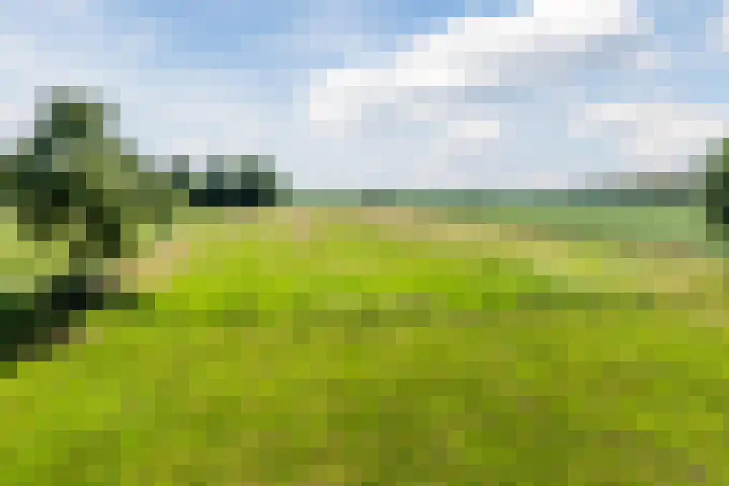Oosteinde 14 Hijken thumbnail 6
