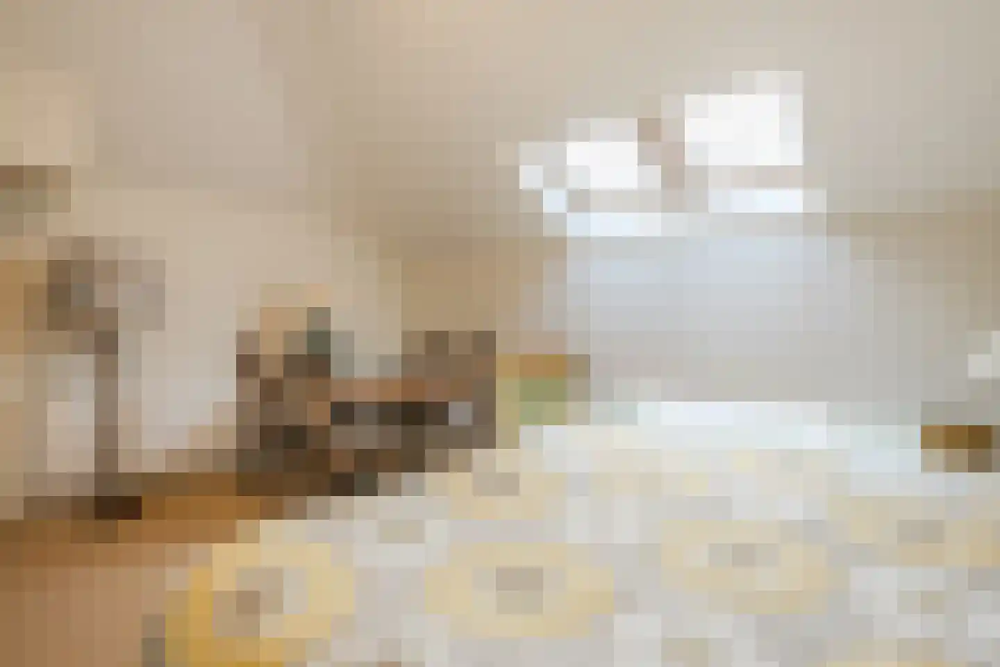 Oosteinde 14 Hijken thumbnail 62