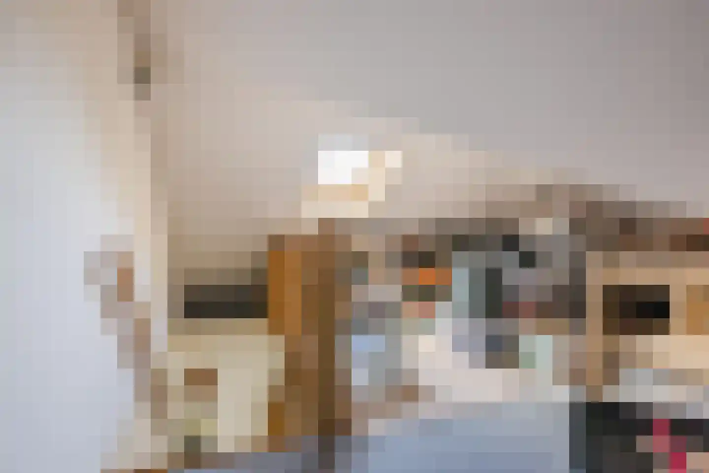 Oosteinde 14 Hijken thumbnail 71