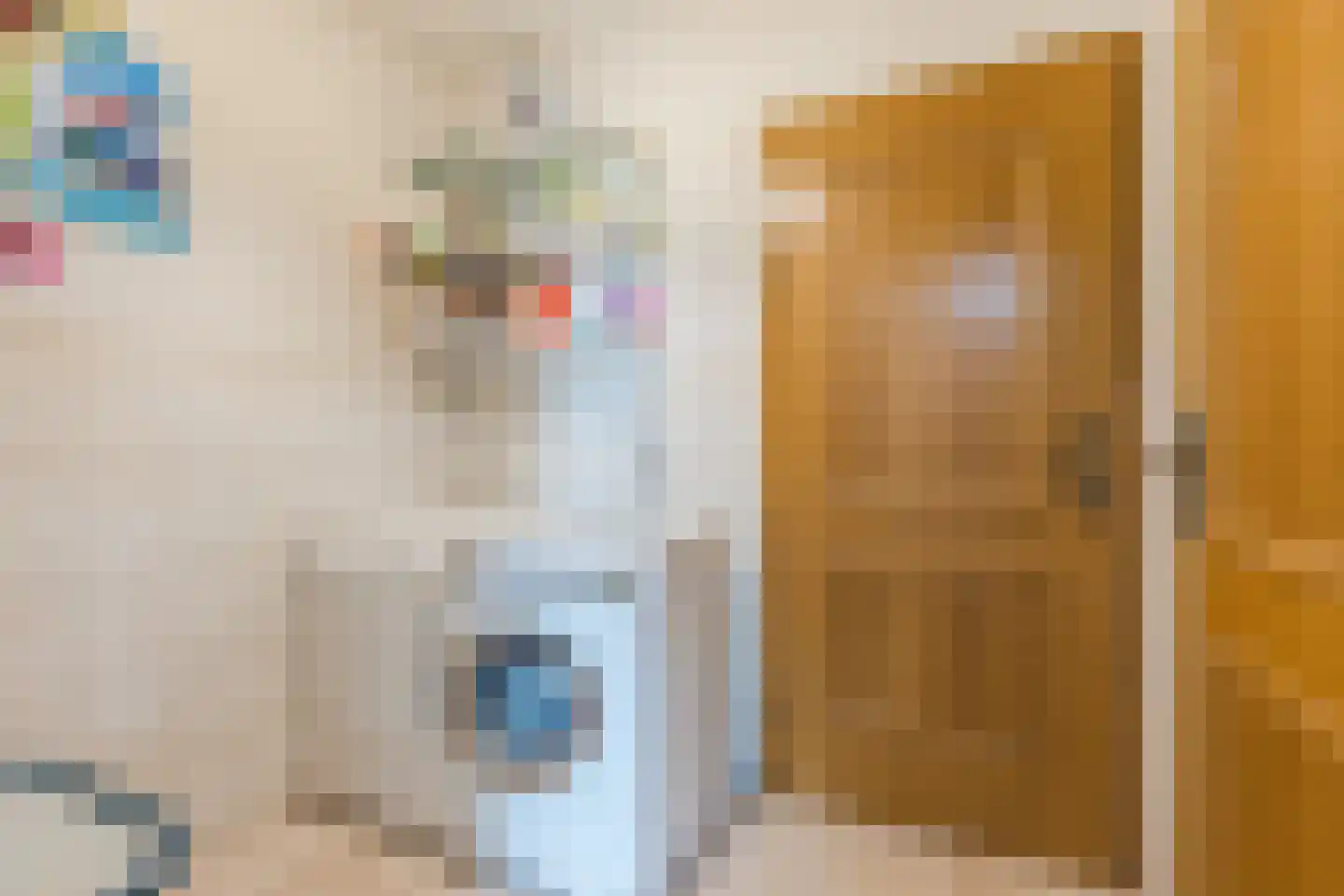 Oosteinde 14 Hijken thumbnail 76