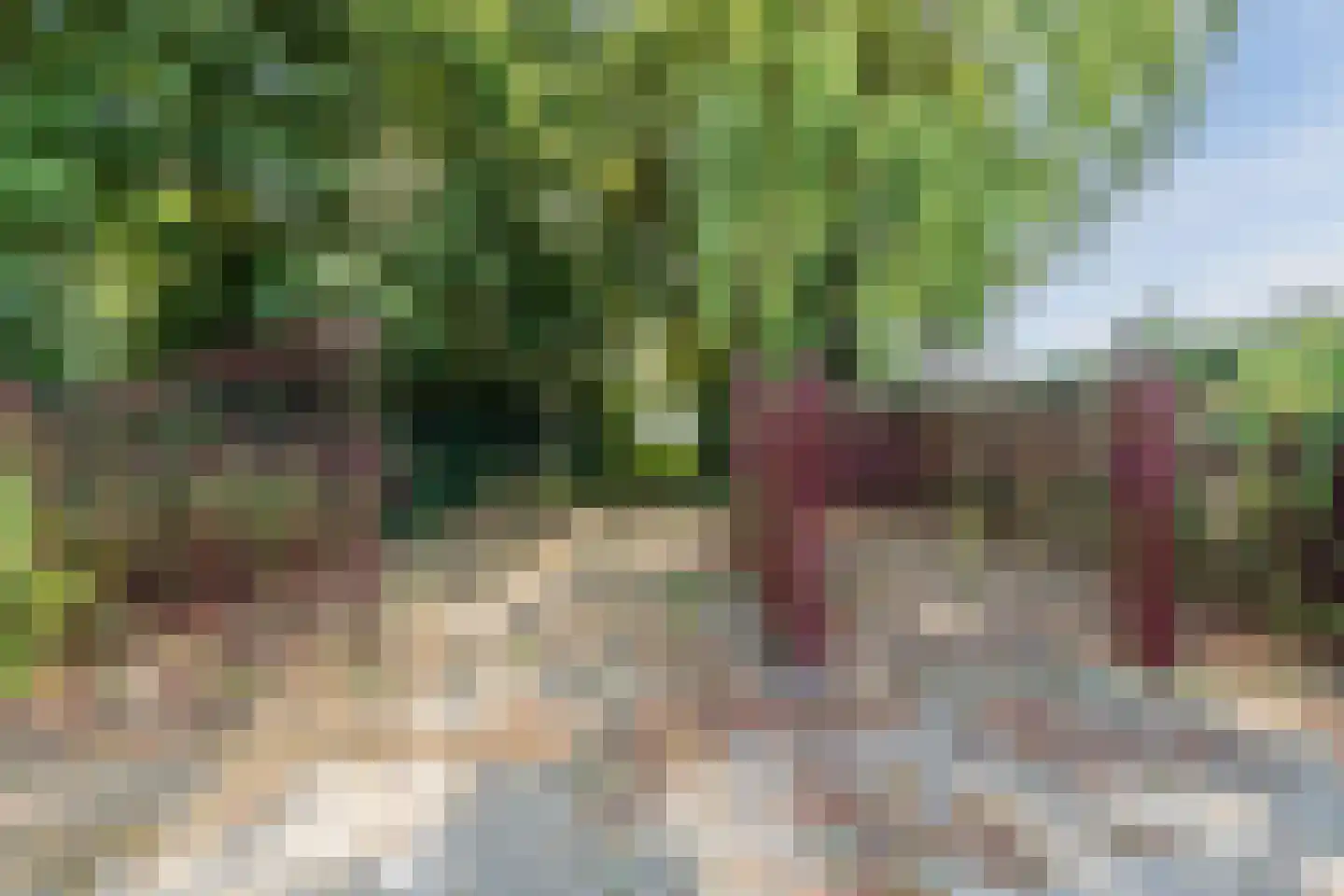 Oosteinde 14 Hijken thumbnail 85