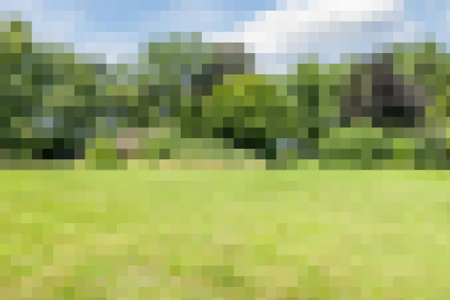 Oosteinde 14 Hijken thumbnail 93