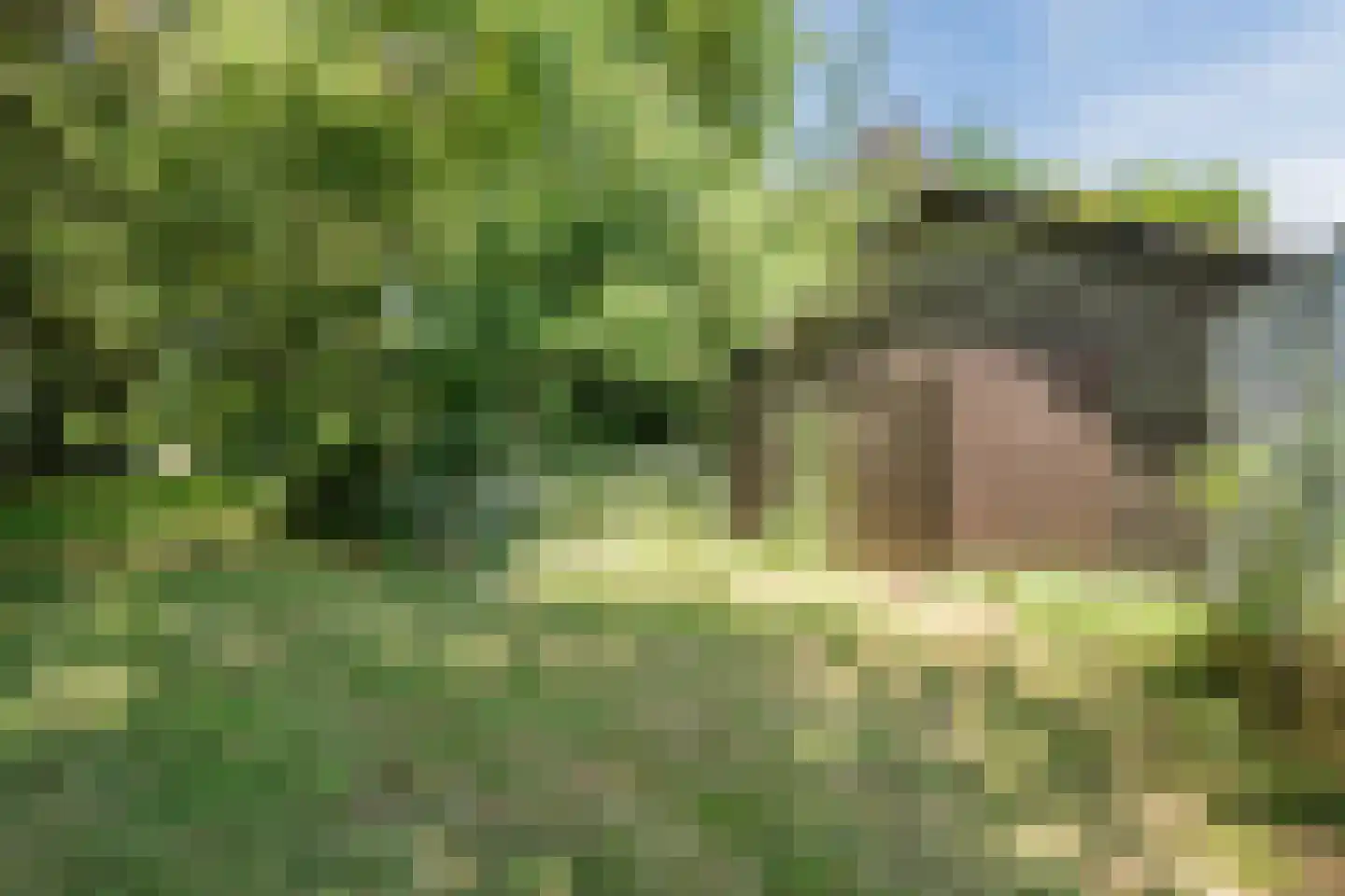 Oosteinde 14 Hijken thumbnail 94