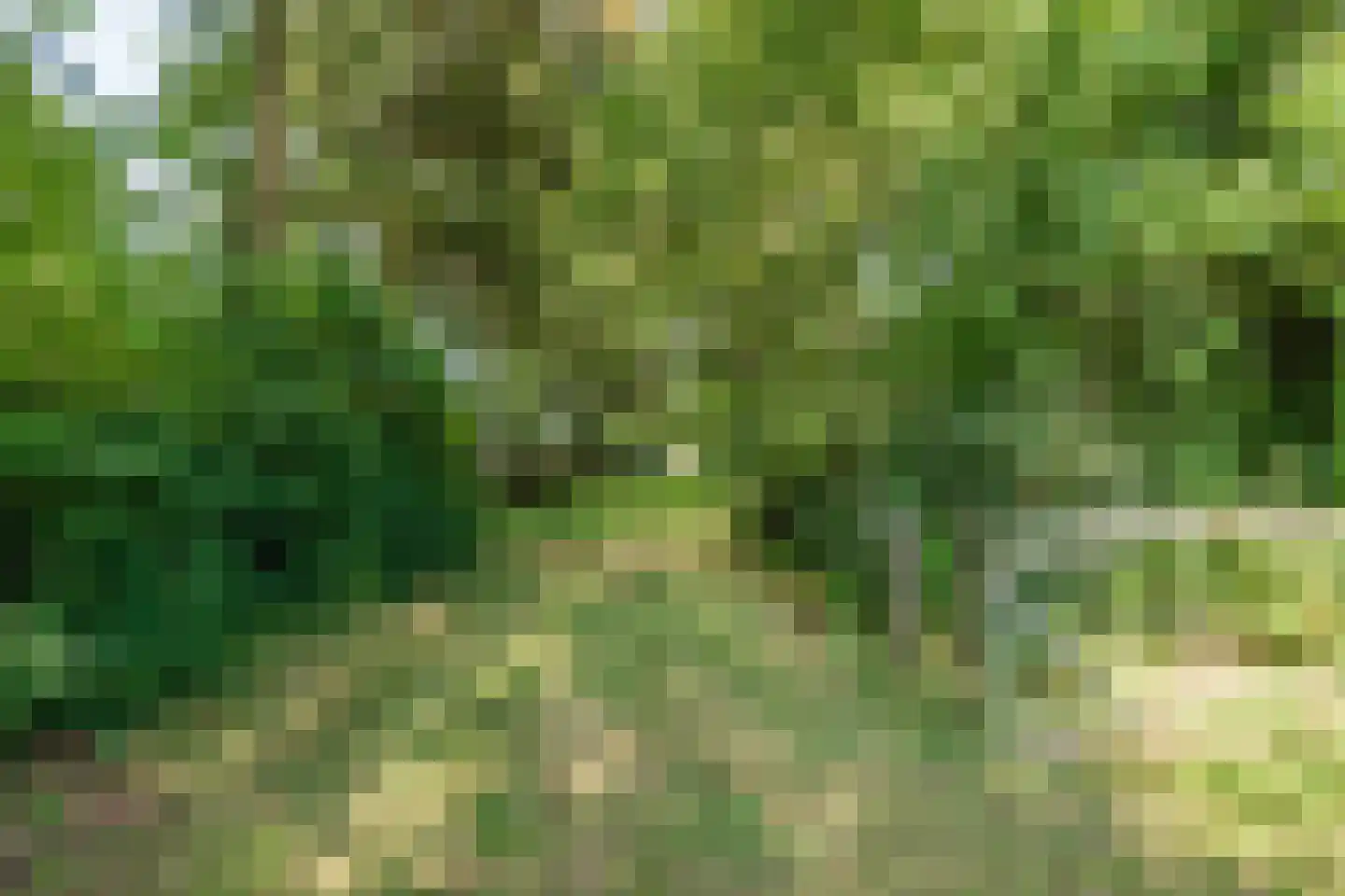 Oosteinde 14 Hijken thumbnail 95