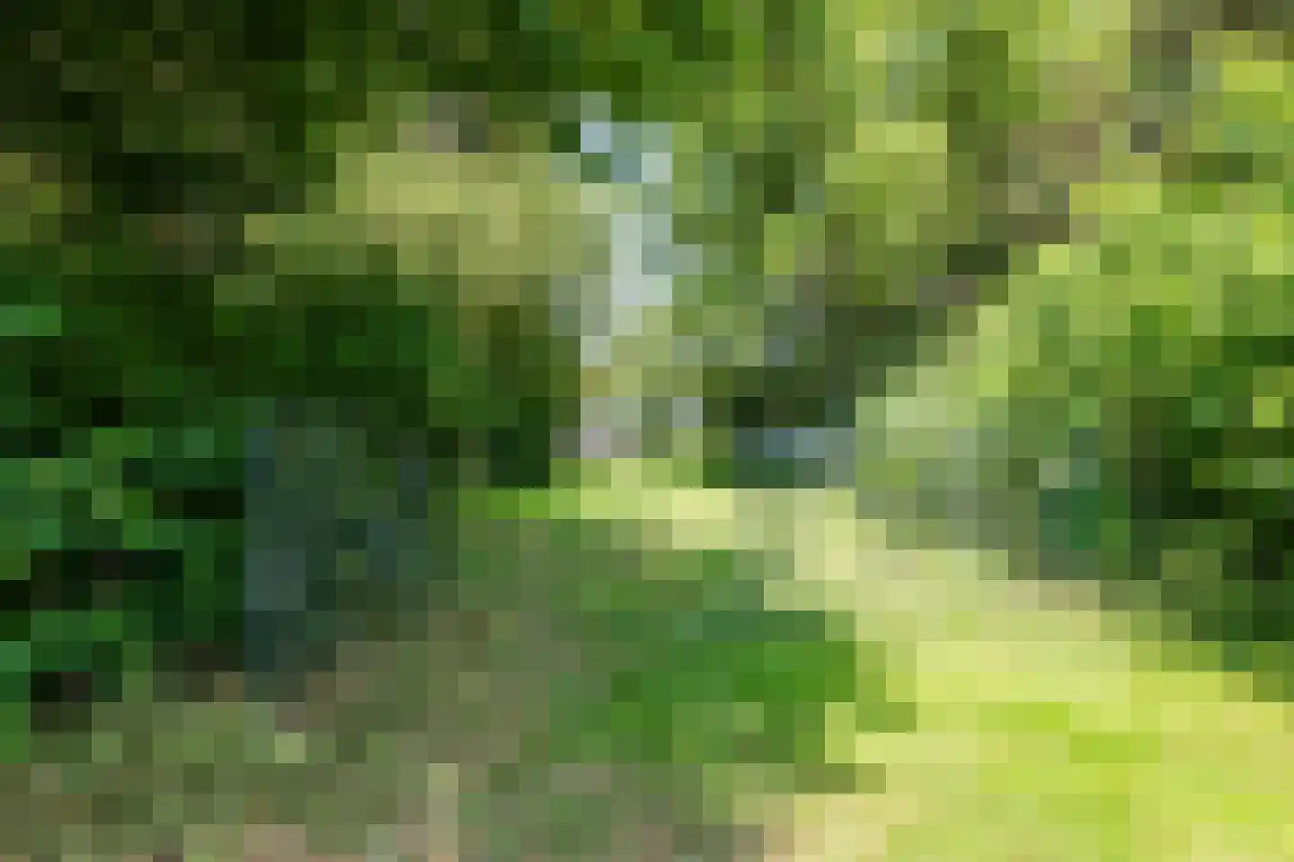 Oosteinde 14 Hijken thumbnail 96