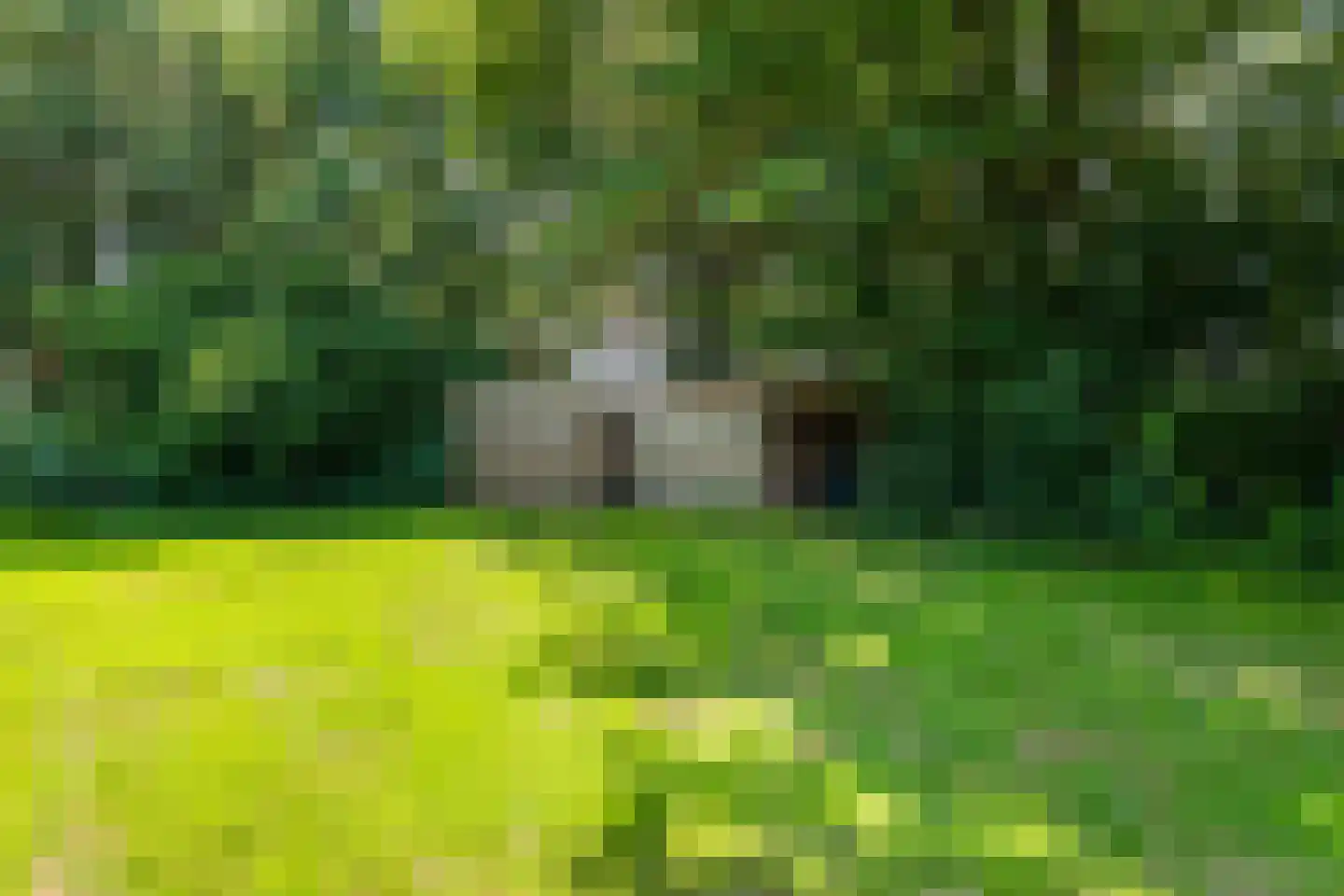 Oosteinde 14 Hijken thumbnail 98