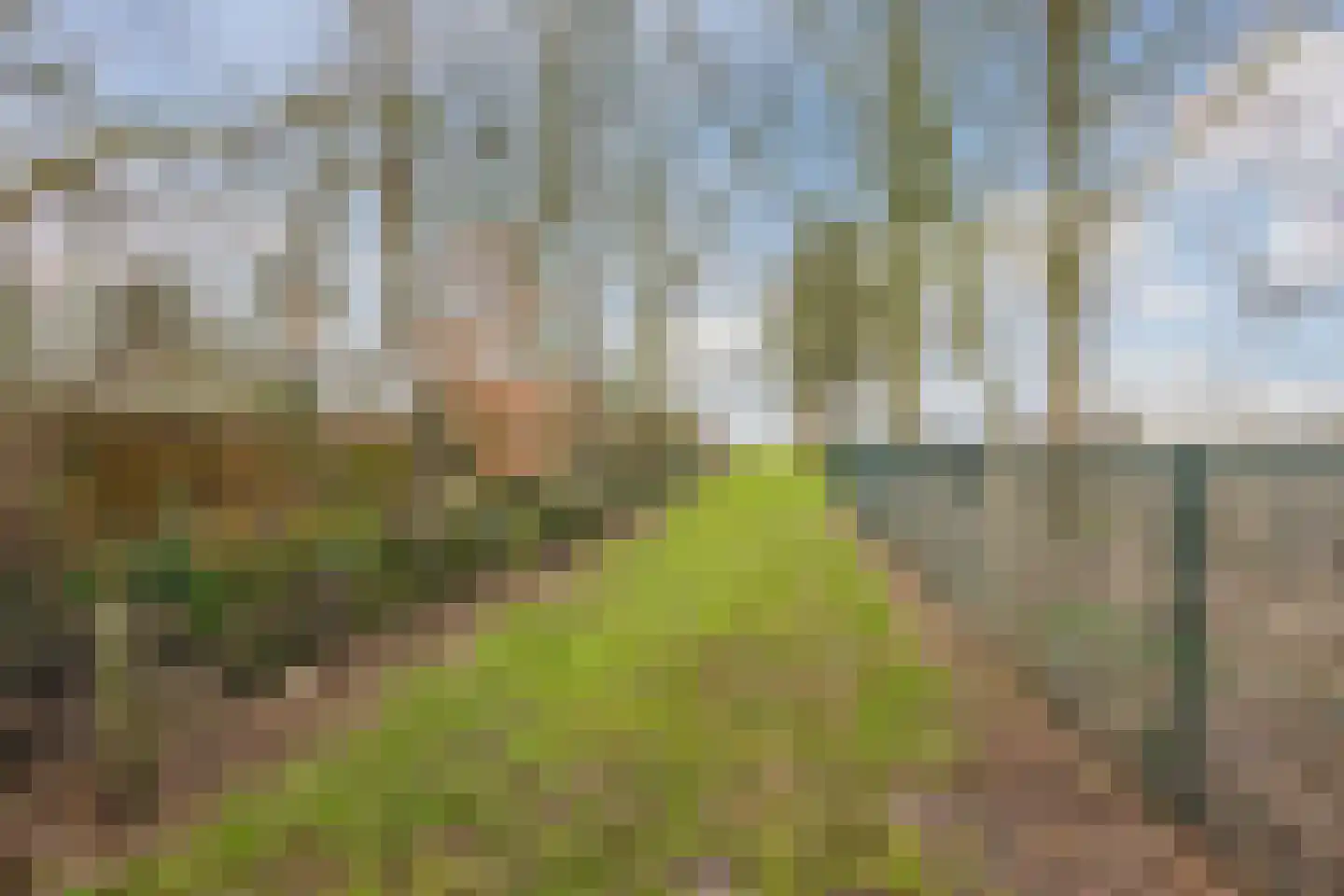 Oosteinde 14 Hijken thumbnail 99