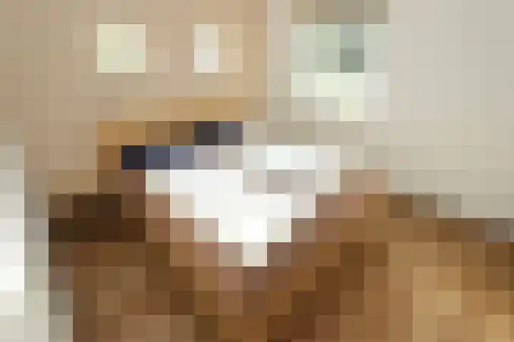 Oosteinde 14 Vriezenveen thumbnail 22