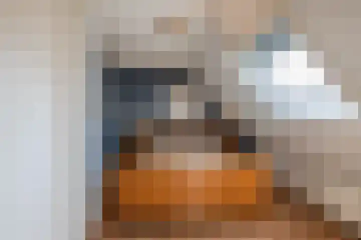 Oosteinde 143 Vriezenveen thumbnail 22
