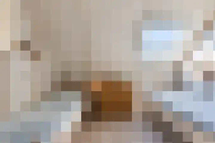 Oosteinde 143 Vriezenveen thumbnail 24