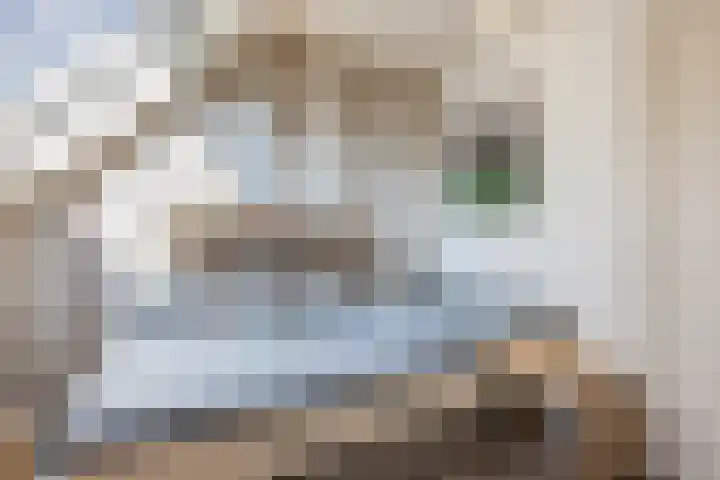 Oosteinde 143 Vriezenveen thumbnail 25
