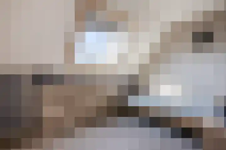Oosteinde 143 Vriezenveen thumbnail 27