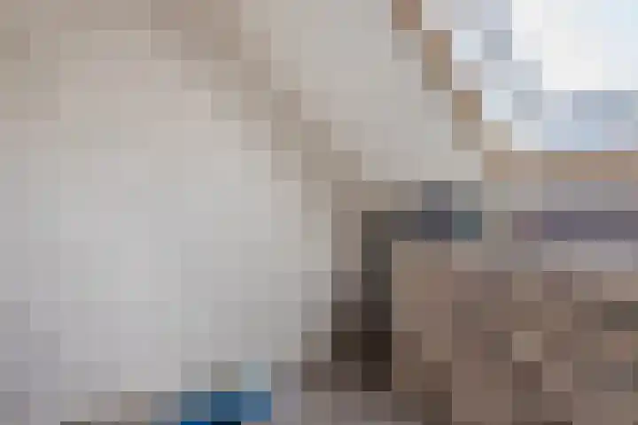 Oosteinde 143 Vriezenveen thumbnail 29