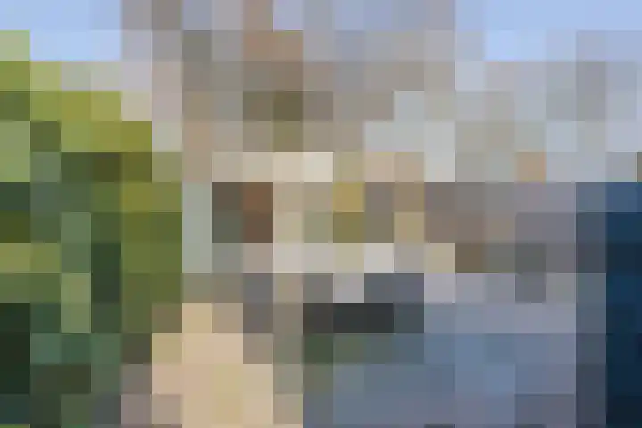 Oosteinde 143 Vriezenveen thumbnail 35