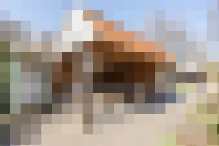 Oosteinde 143 Vriezenveen thumbnail 37