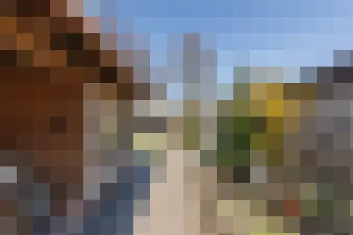 Oosteinde 143 Vriezenveen thumbnail 39