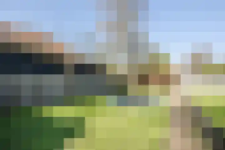 Oosteinde 143 Vriezenveen thumbnail 4
