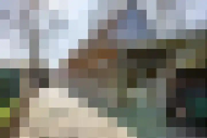 Oosteinde 143 Vriezenveen thumbnail 46