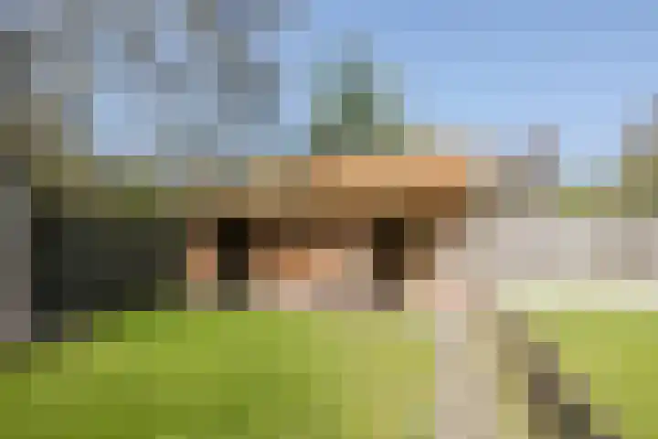 Oosteinde 143 Vriezenveen thumbnail 47