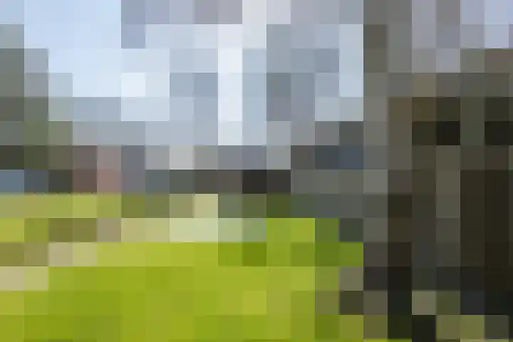 Oosteinde 143 Vriezenveen thumbnail 48