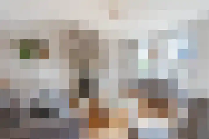 Oosteinde 143 Vriezenveen thumbnail 6