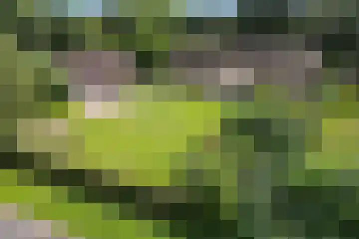 Oosteinde 16 dans Hijken