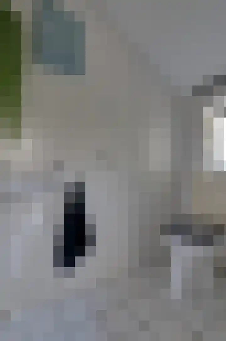 Oosteinde 16 Gasteren thumbnail 17